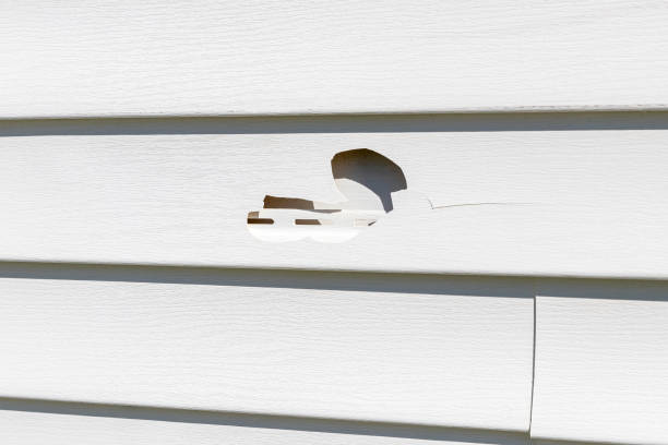 Affordable siding repair and maintenance services in Hebron, MD